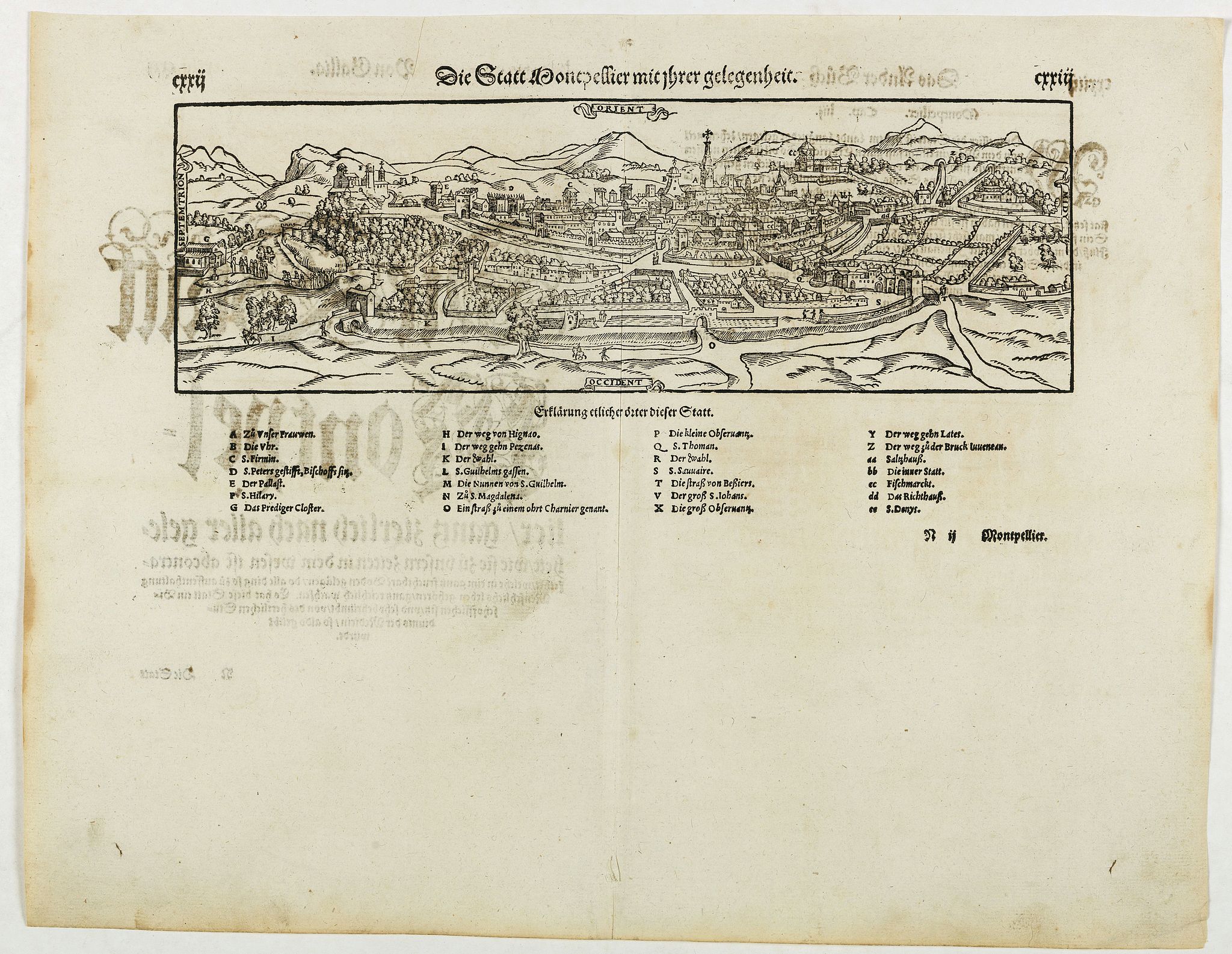 MÜNSTER, S, Die statt Montpellier . . ., antique map, old maps