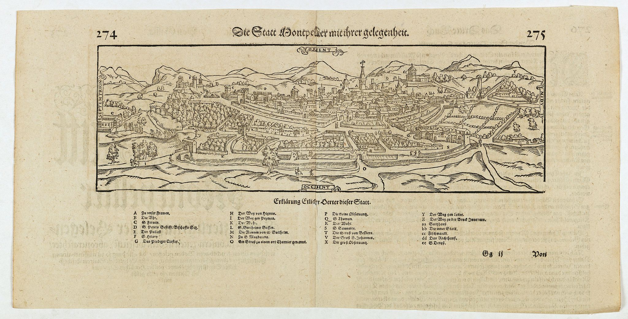 MÜNSTER, S, Die statt Montpellier . . ., antique map, old maps