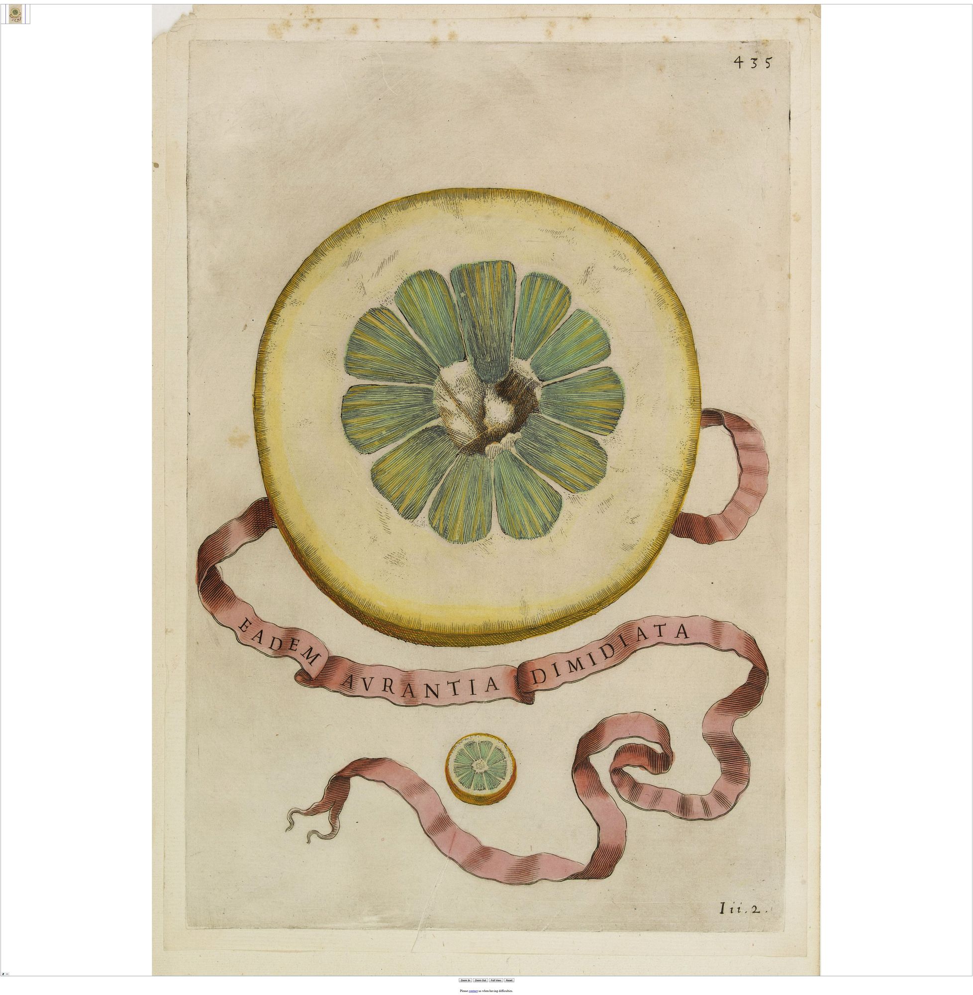 Old map by FERRARI - Eadem Aurantia Dimidiata.