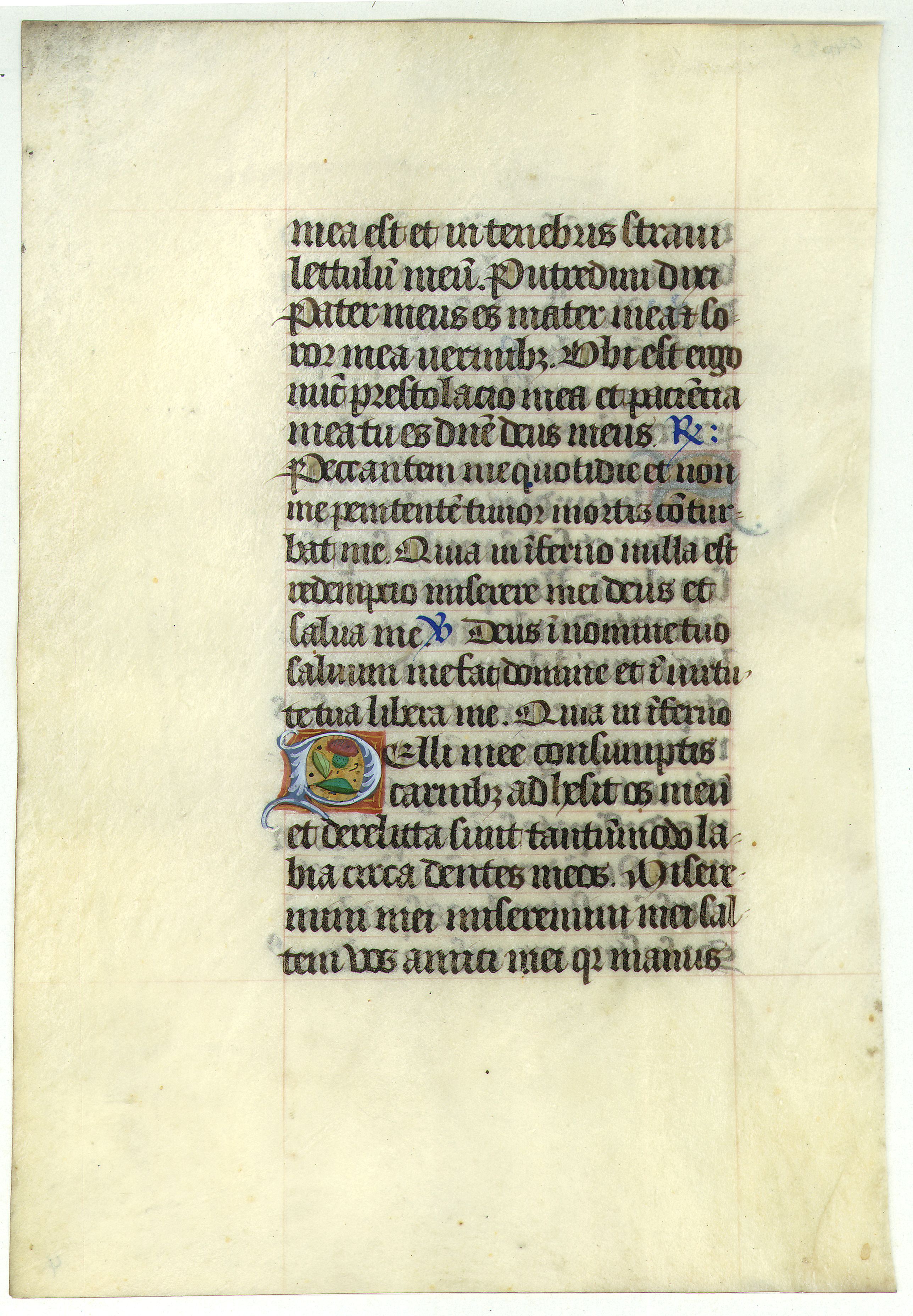 Book of Hours., Leaf on vellum from a manuscript Book of Hours., antique map, old maps