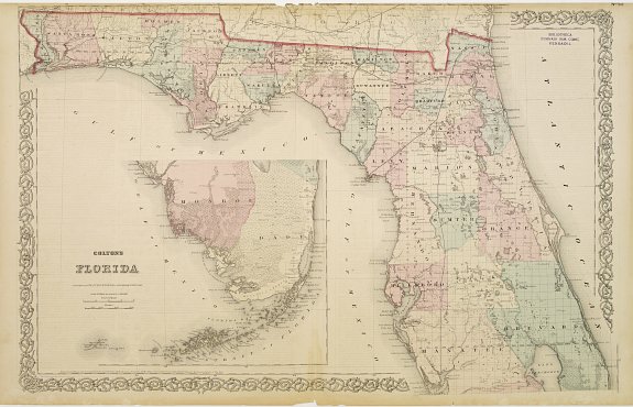 MITCHELL, S.A., Colton's Florida., antique map, old maps