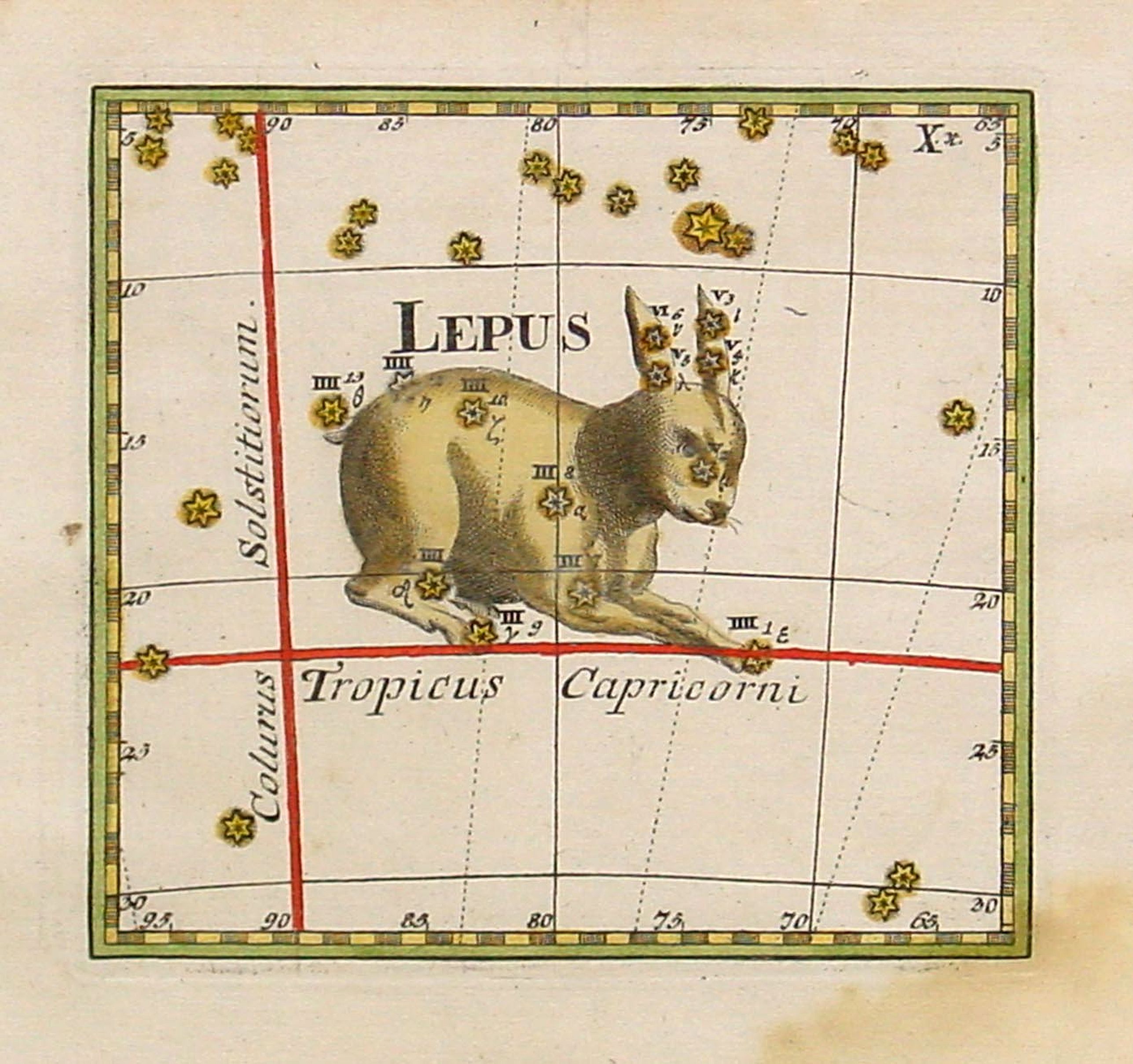 THOMAS, C., Lepus., antique map, old maps