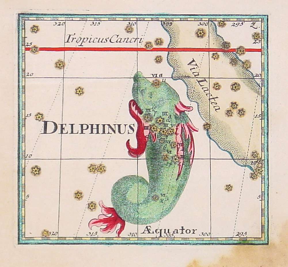 THOMAS, C., Delphinus., antique map, old maps
