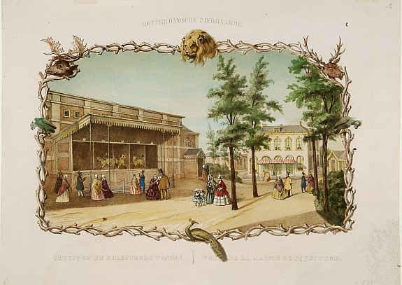 BUFFA,F.?,  Rotterdamse Diergaarde .., antique map, old maps