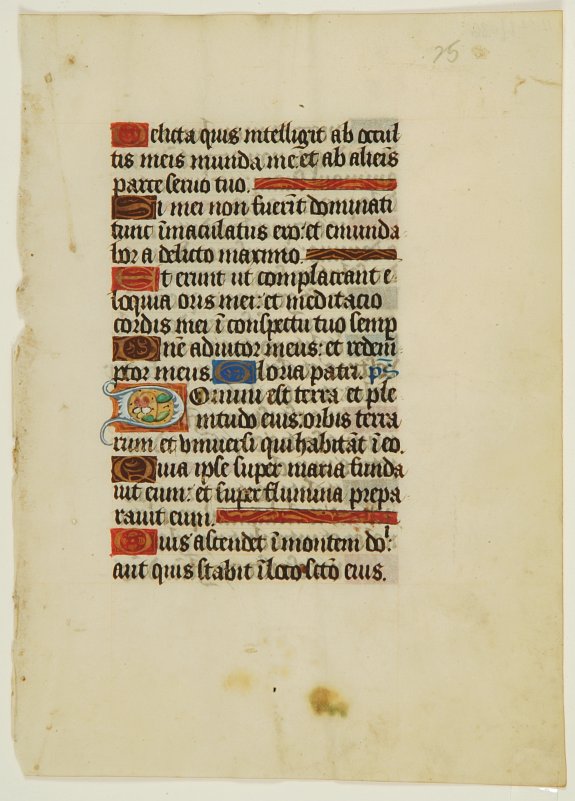 Book of Hours., Leaf on vellum from a manuscript Book of Hours., antique map, old maps