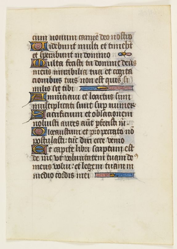 BOOK OF HOURS, Leaf on vellum from a manuscript Book of Hours., antique map, old maps