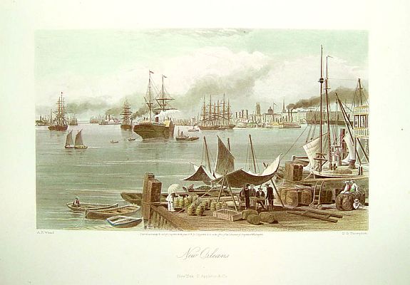 A. R. Waud for D. Appleton & Co., New Orleans., antique map, old maps