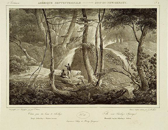 MILBERT,J., Falls near Schooley's Springs., antique map, old maps