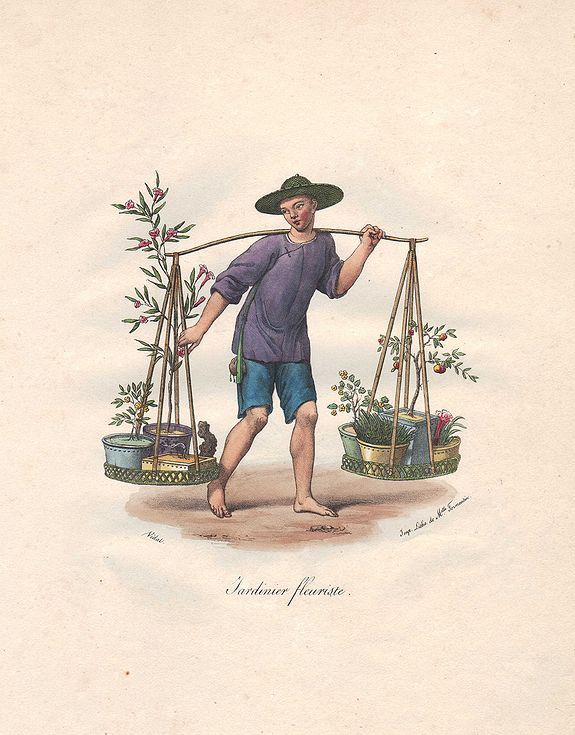 MALPIERE, D. BAZIN DE, Jardinier fleuriste., antique map, old maps