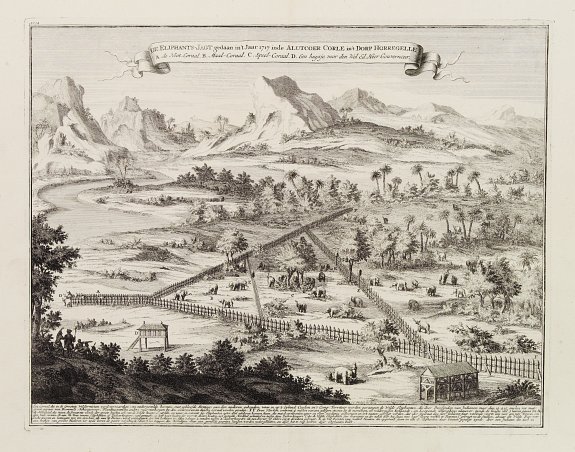 VALENTIJN,F., De Eliphants-Jagt gedaan in't Jaar 1717 inde Alutcoer Corle.., antique map, old maps