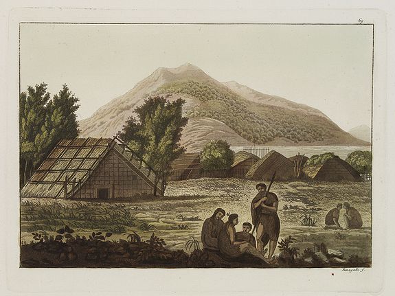 FERRARIO, G.,  [ View of the Hippah in New Zealand ]., antique map, old maps