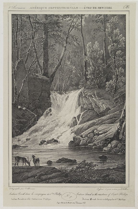 MILBERT, J., Indian Brook in the Residence of Captn. Phillips. . . N°9. Pl. 1., antique map, old maps