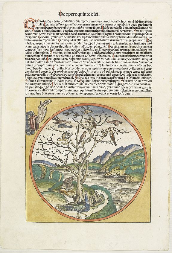 SCHEDEL, H.,  De opere quarte diei. [The creation of the world - Fourth and fifth day]., antique map, old maps