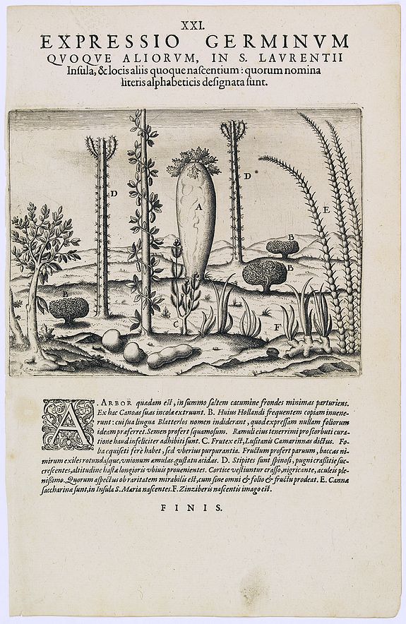 DE BRY, Th., Expressio Germinum Quoque Aliorum, in S. Lavrentii., antique map, old maps