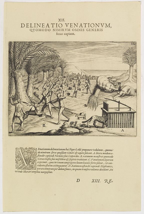 DE BRY, Th., XII. Delineatio Venationum, quomodo Nimir um Omnis Generis feras capiant. (How the hunters catch animals: 1603-1604), antique map, old maps