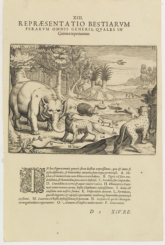 DE BRY, Th., XIII. Repraesentatio Bestiarum ferarum Omnis Generis, quales in Guinea reperiuntur., antique map, old maps