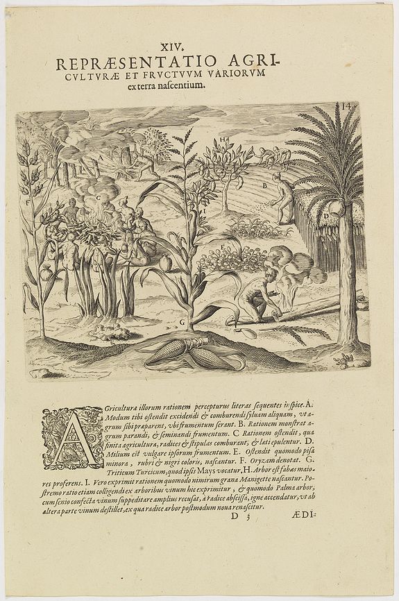 DE BRY, Th., XIV. Repraesentatio Agriculturae et Fructuum Variorum exterra nafcentium., antique map, old maps
