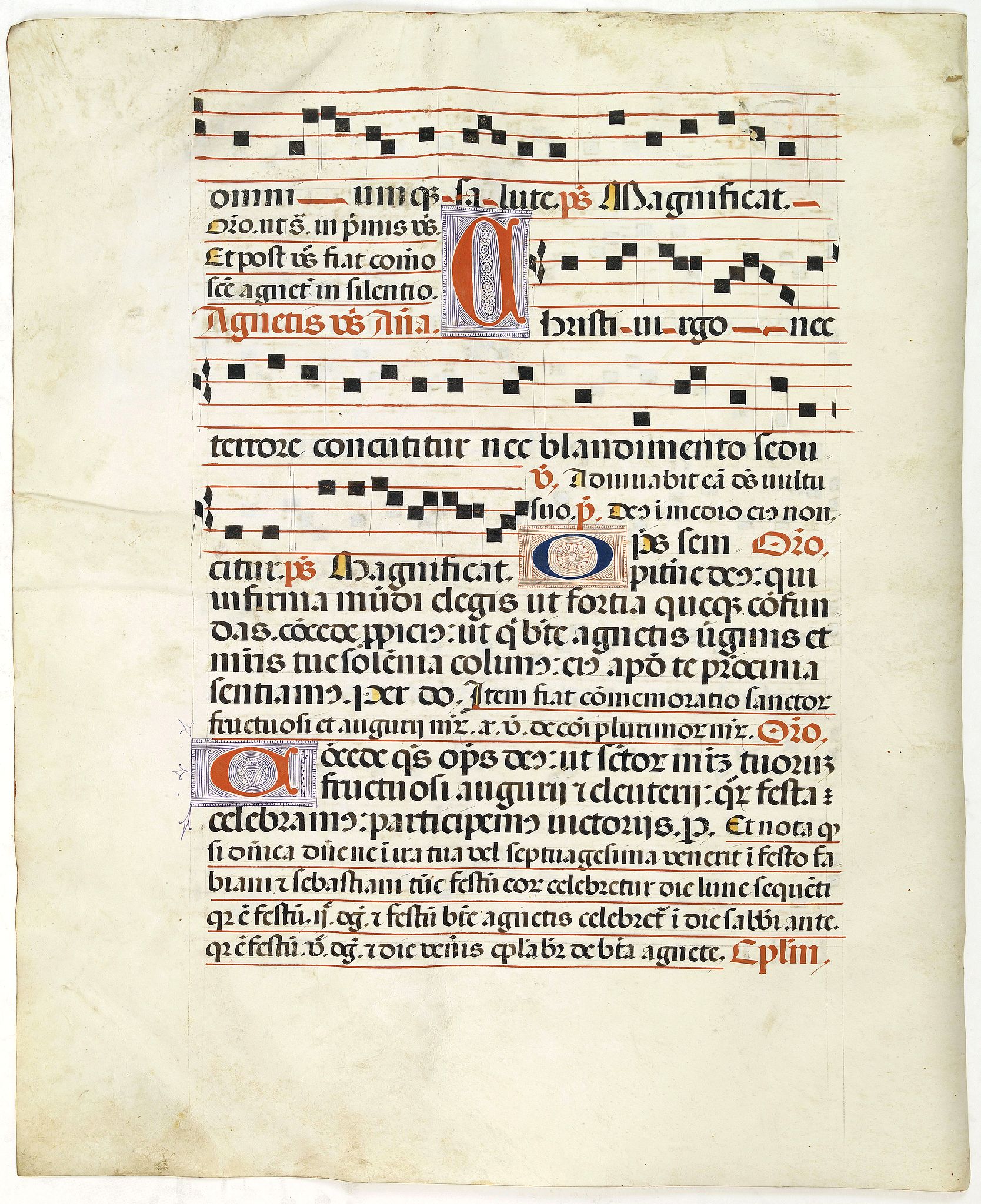 ANTIPHONARIUM., Leaf on vellum from a antiphonary., antique map, old maps