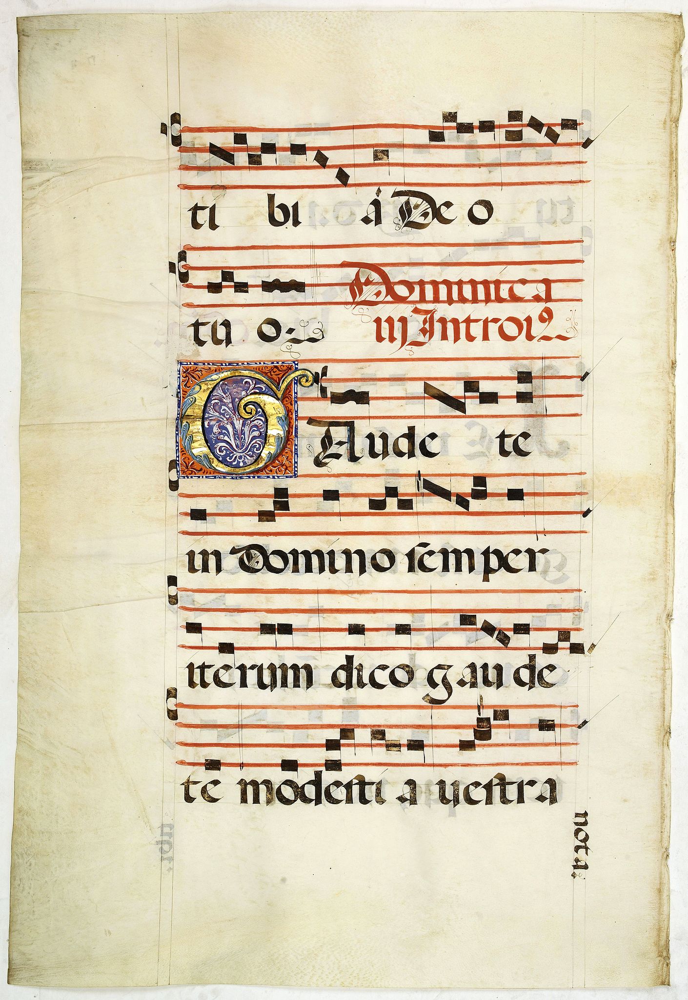 ANTIPHONARIUM, Leaf on vellum from an antiphonary., antique map, old maps