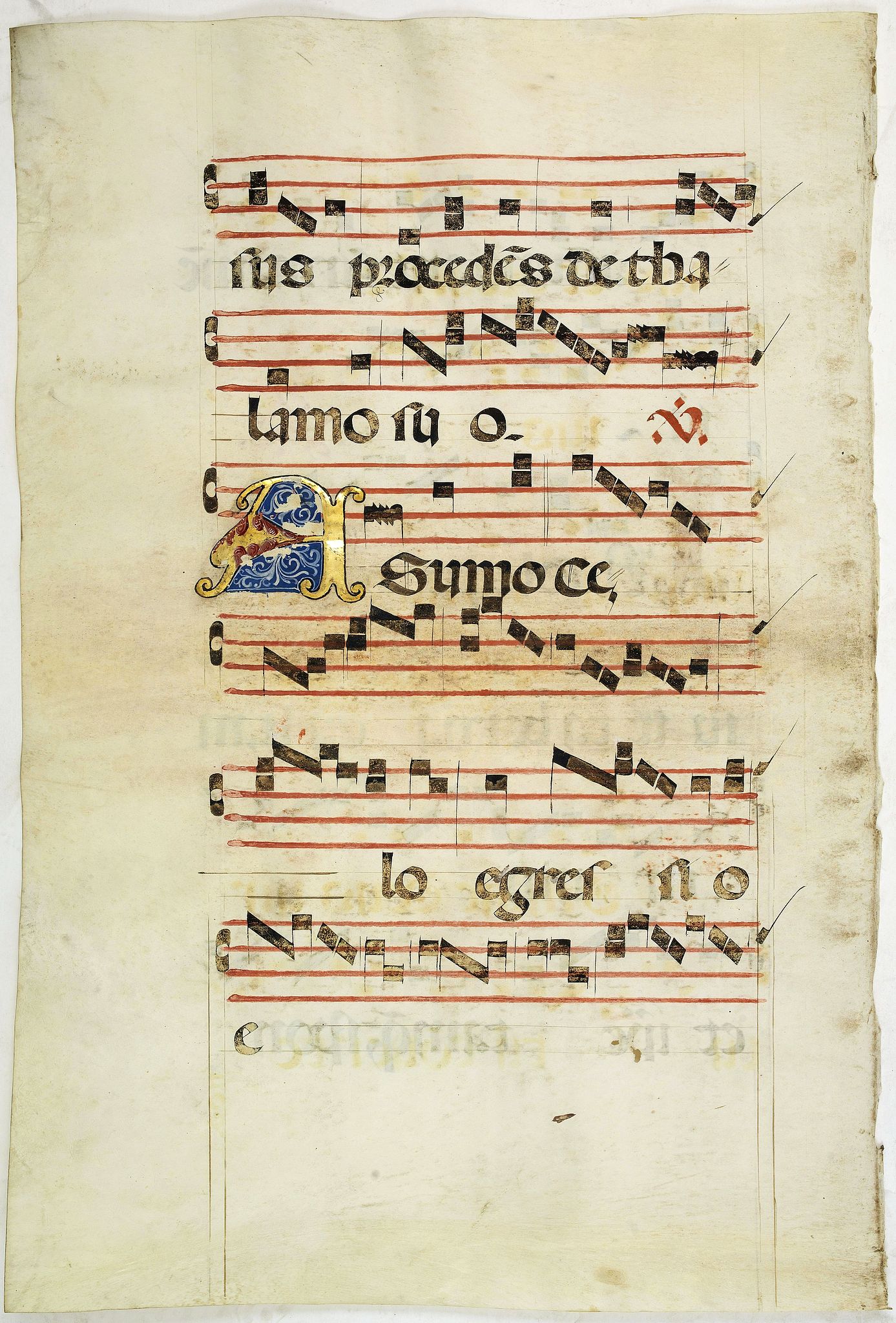 ANTIPHONARIUM, Leaf on vellum from an antiphonary., antique map, old maps