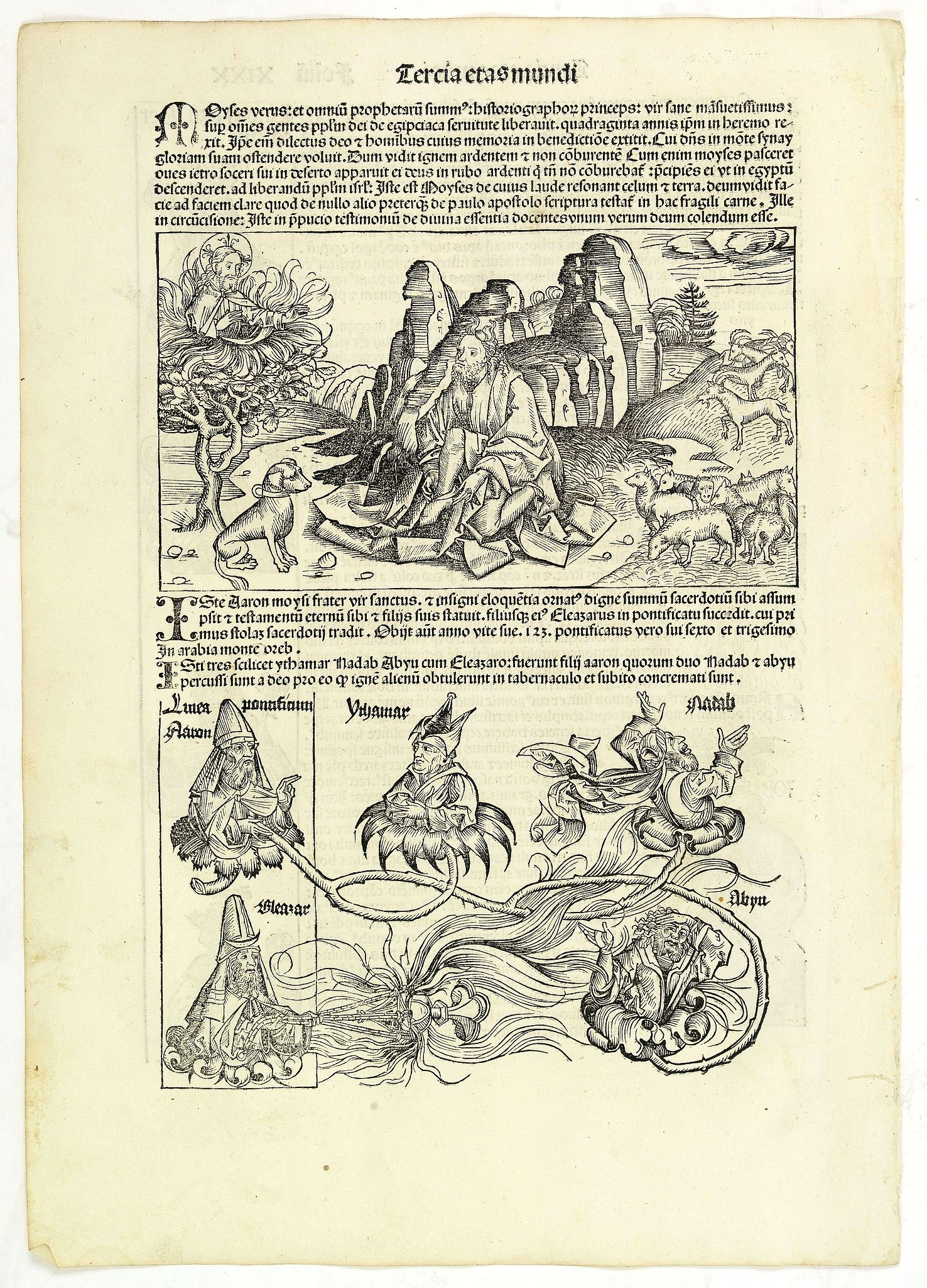 SCHEDEL, H., Tercia Etas Mundi. Folium.XIXX, antique map, old maps