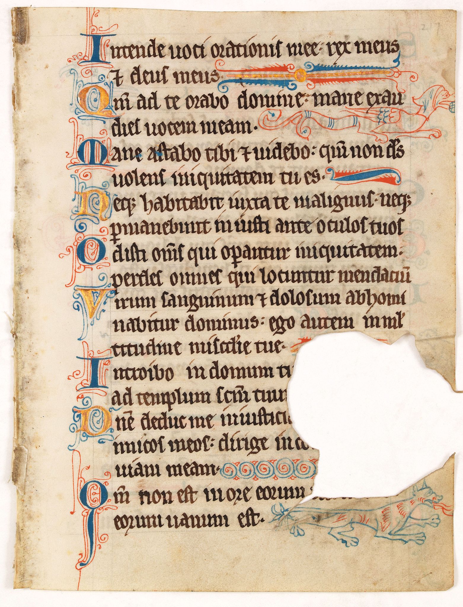 ANONYMOUS, Illuminated leaf from a lithurgical Psalter., antique map, old maps