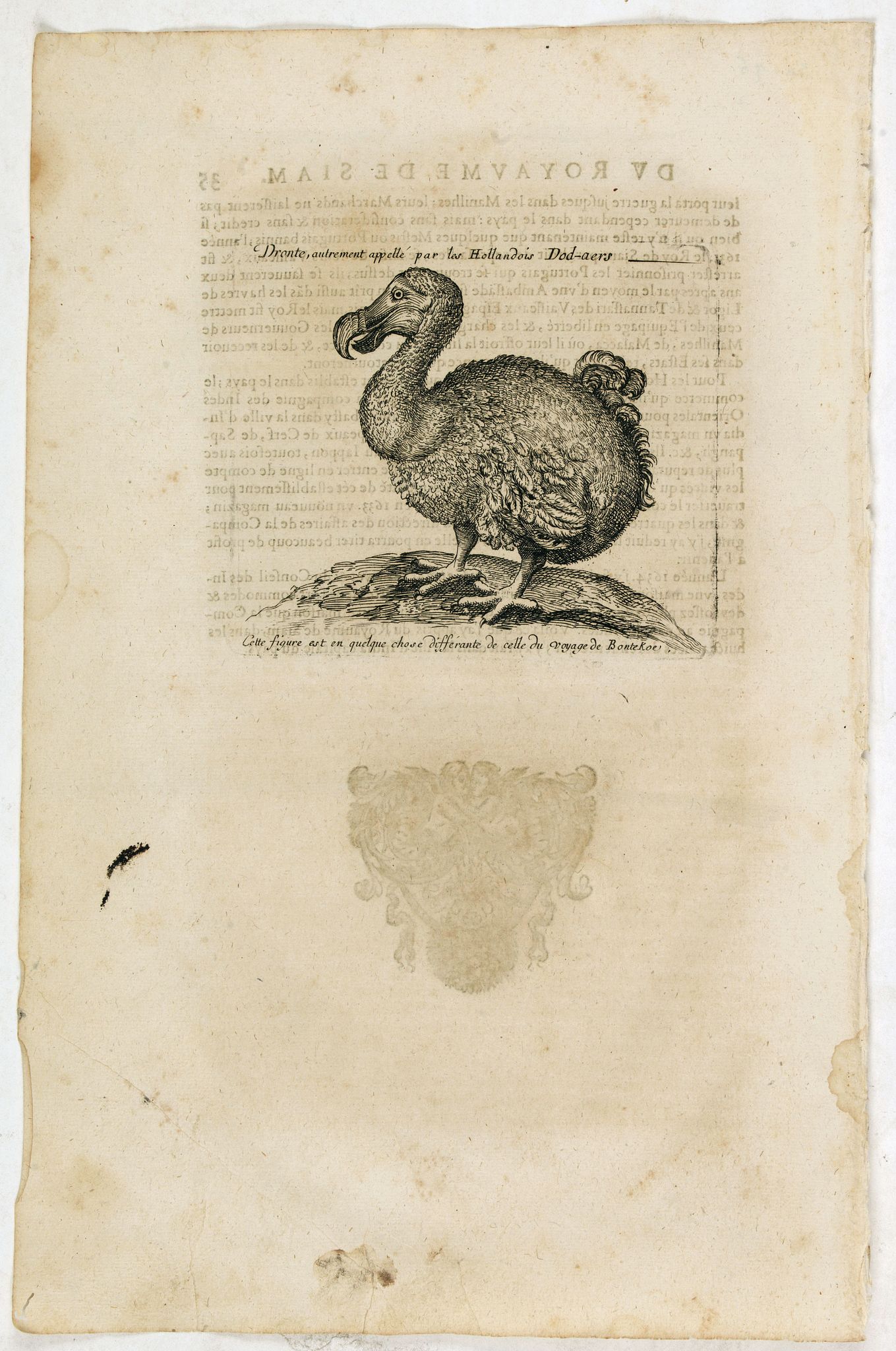 THEVENOT, M., Dronte, autrement appellé par les Hollandois Dod-aers., antique map, old maps