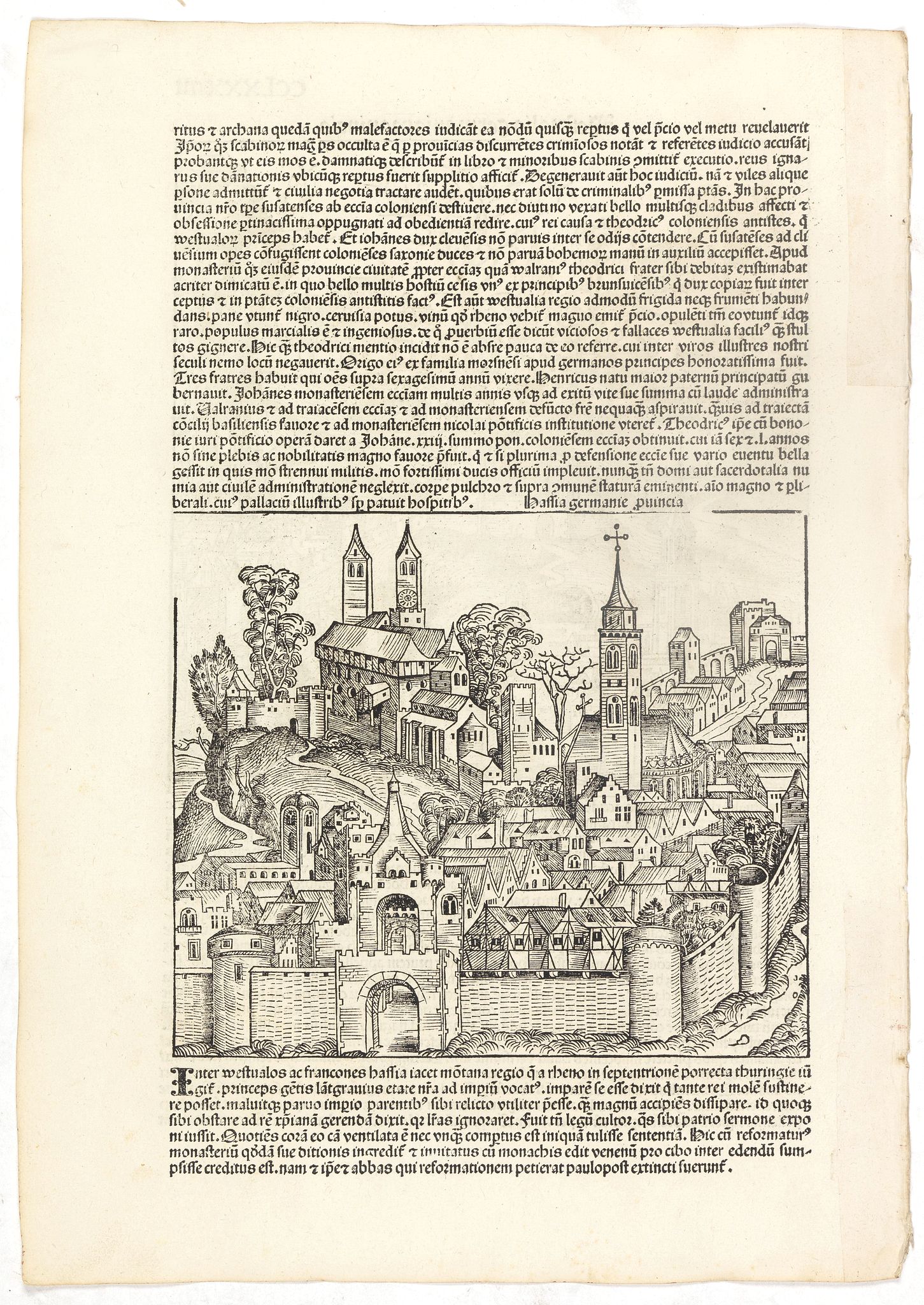 Schedel