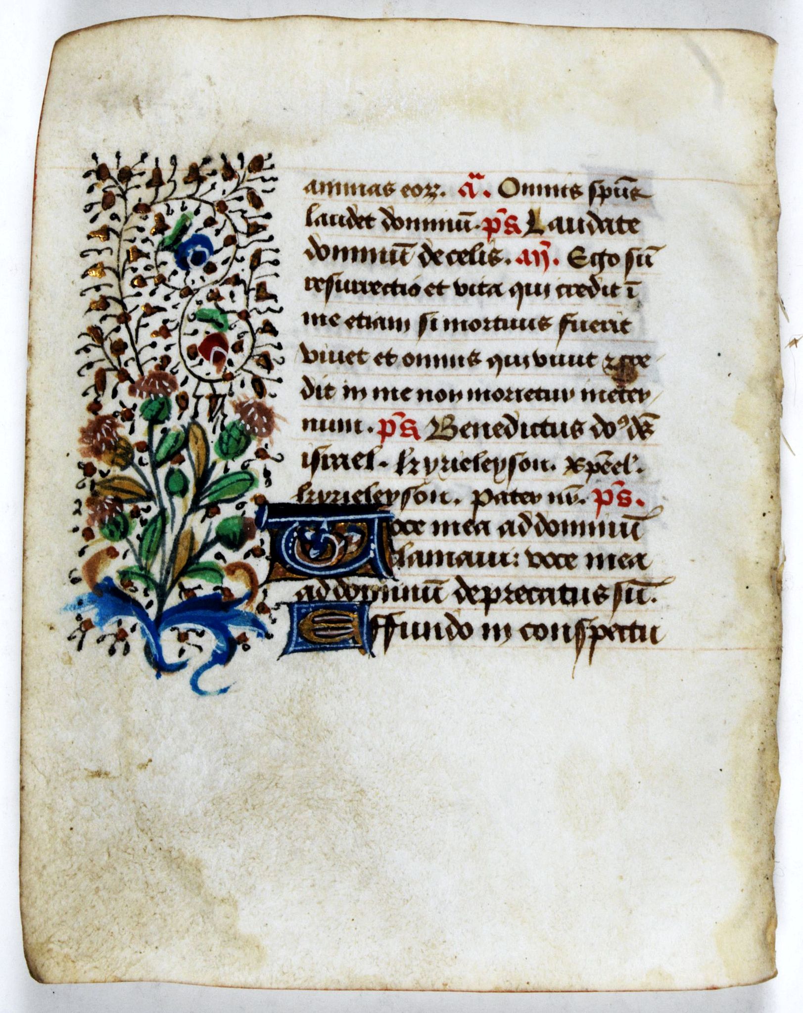 BOOK OF HOURS, Leaf on vellum from a manuscript Book of Hours., antique map, old maps