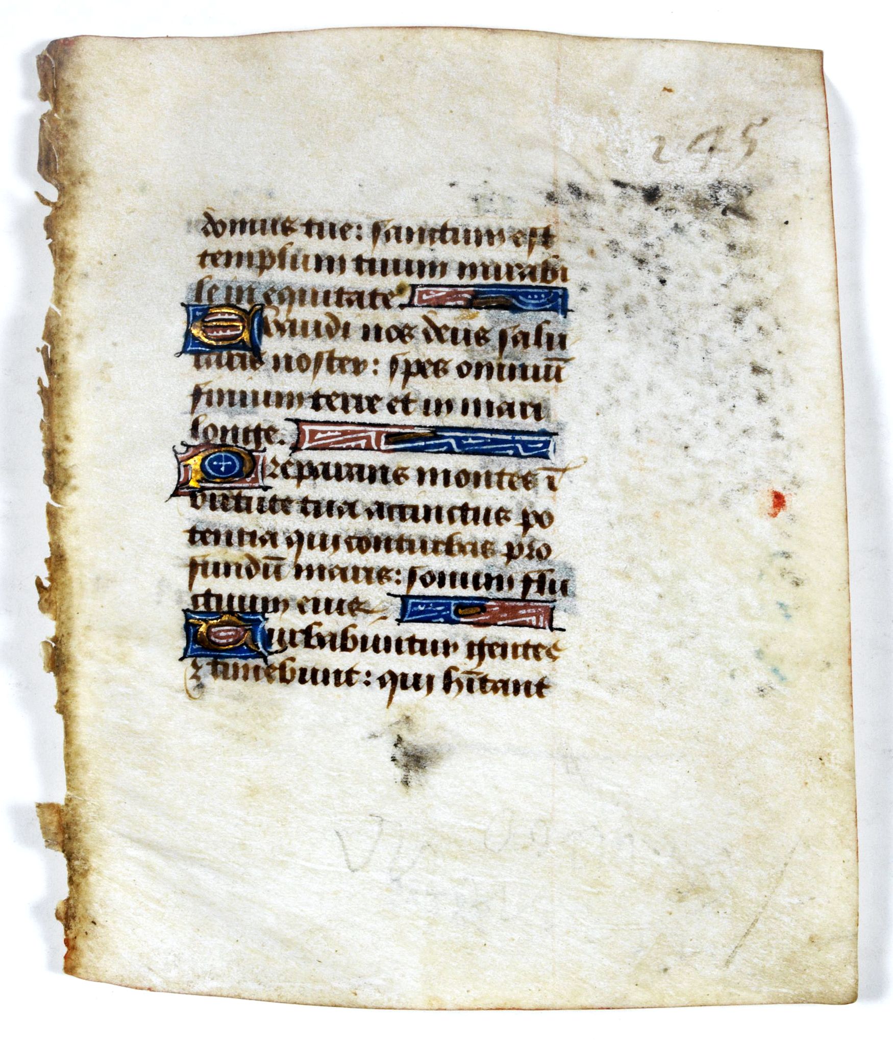 BOOK OF HOURS, Leaf on vellum from a manuscript Book of Hours., antique map, old maps