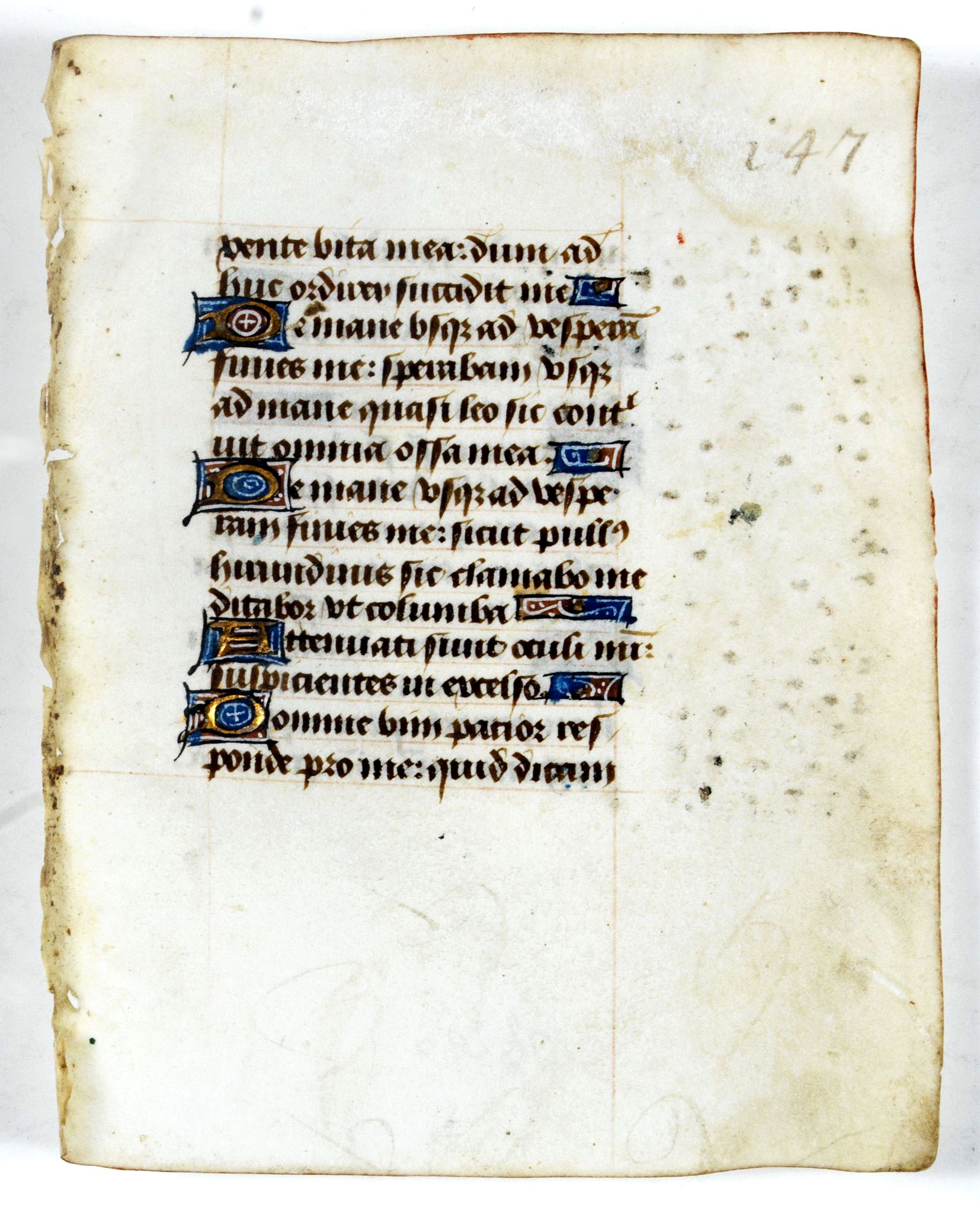 BOOK OF HOURS, Leaf on vellum from a manuscript Book of Hours., antique map, old maps