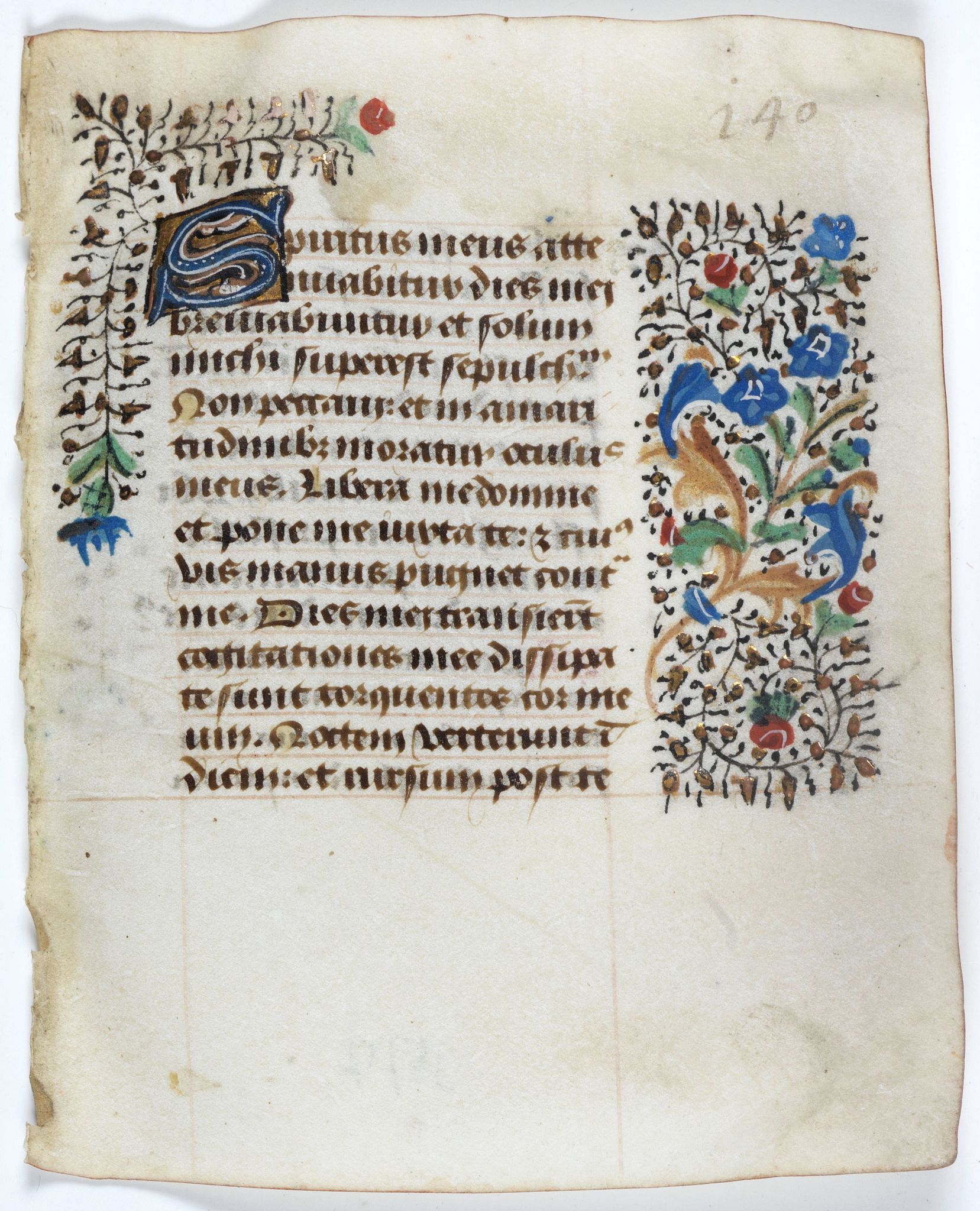 BOOK OF HOURS, Leaf on vellum from a manuscript Book of Hours., antique map, old maps