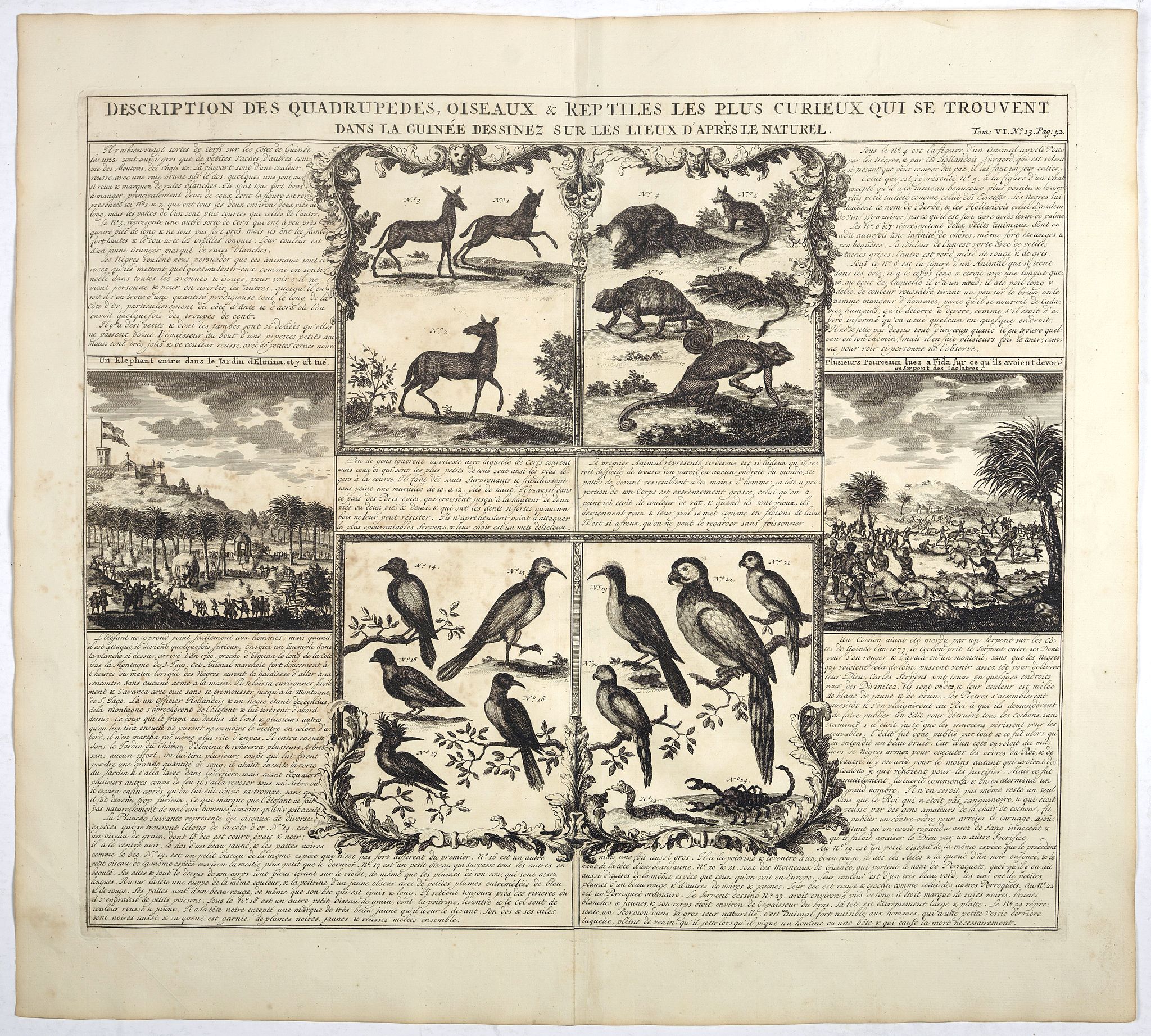 CHATELAIN, H., Description Des Quadrupedes, Oiseaux & Reptiles Les Plus Curieux Qui Se Trouvent Dans La Guinee . . ., antique map, old maps