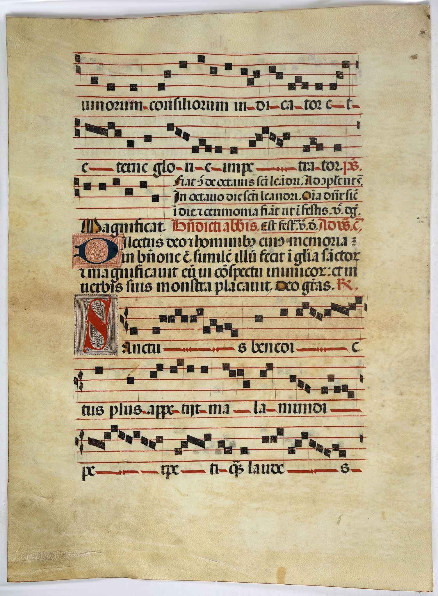 ANTIPHONARIUM., Leaf on vellum from a antiphonary., antique map, old maps