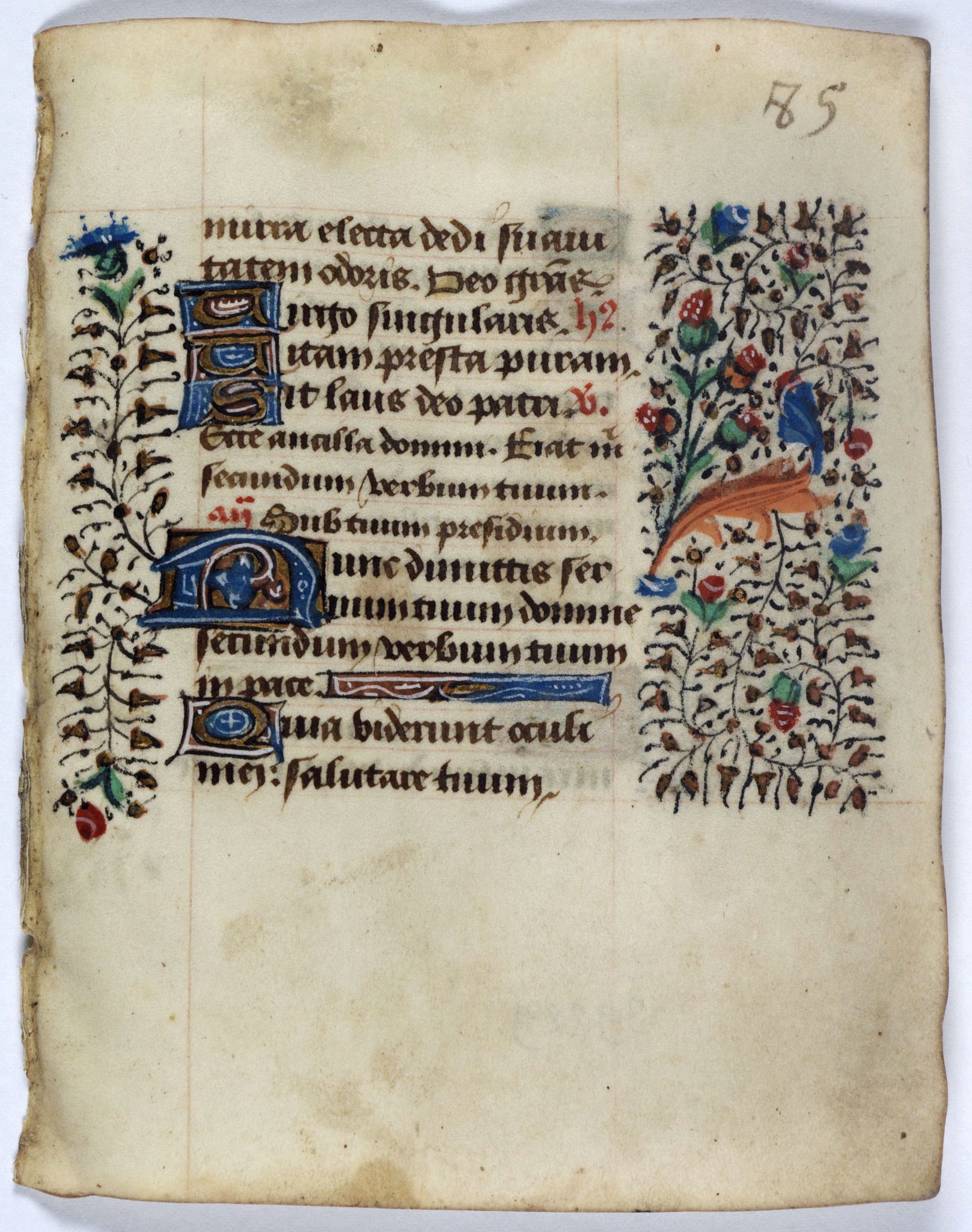BOOK OF HOURS, Leaf on vellum from a manuscript Book of Hours., antique map, old maps