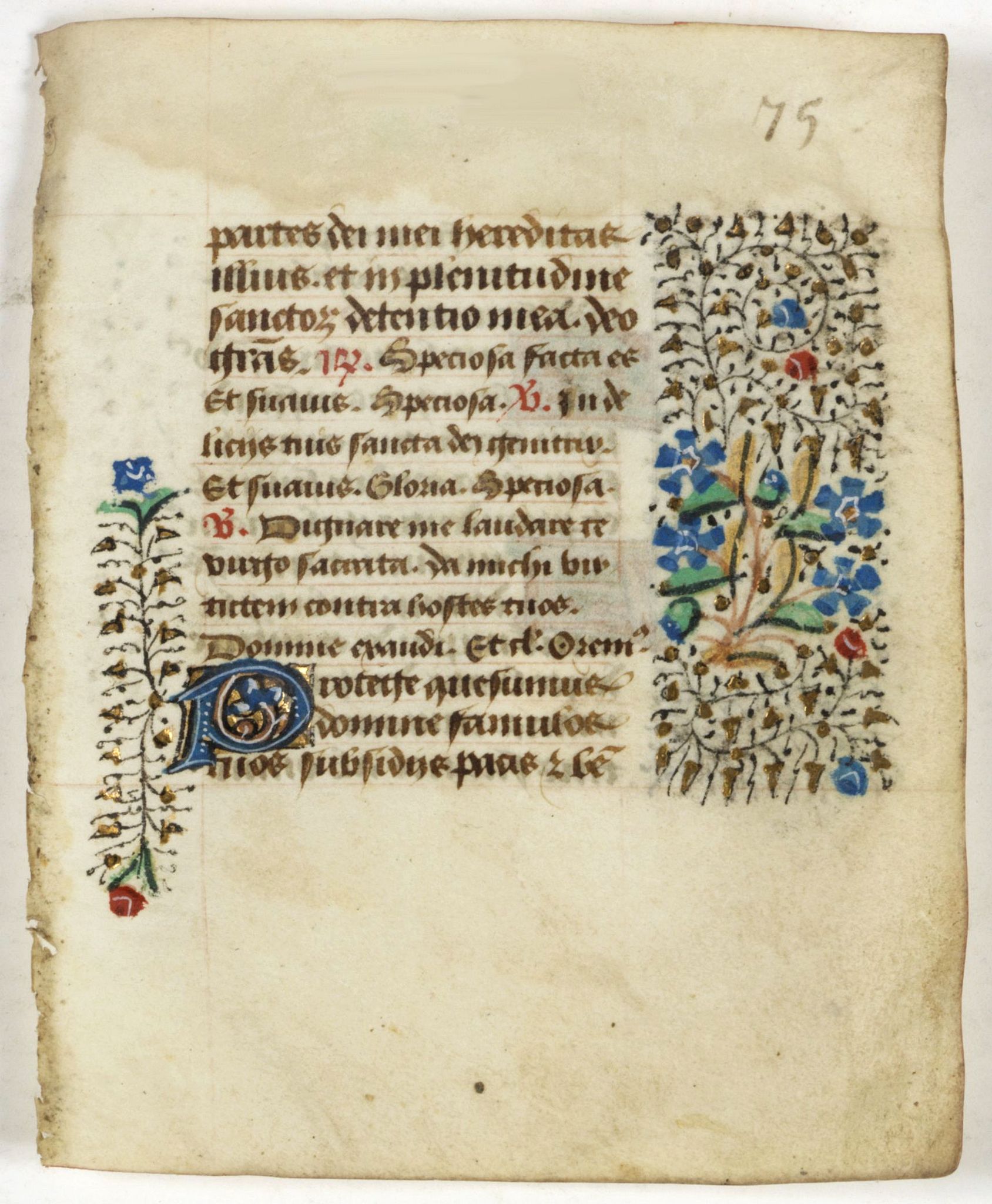 BOOK OF HOURS, Small leaf on vellum from a manuscript Book of Hours., antique map, old maps