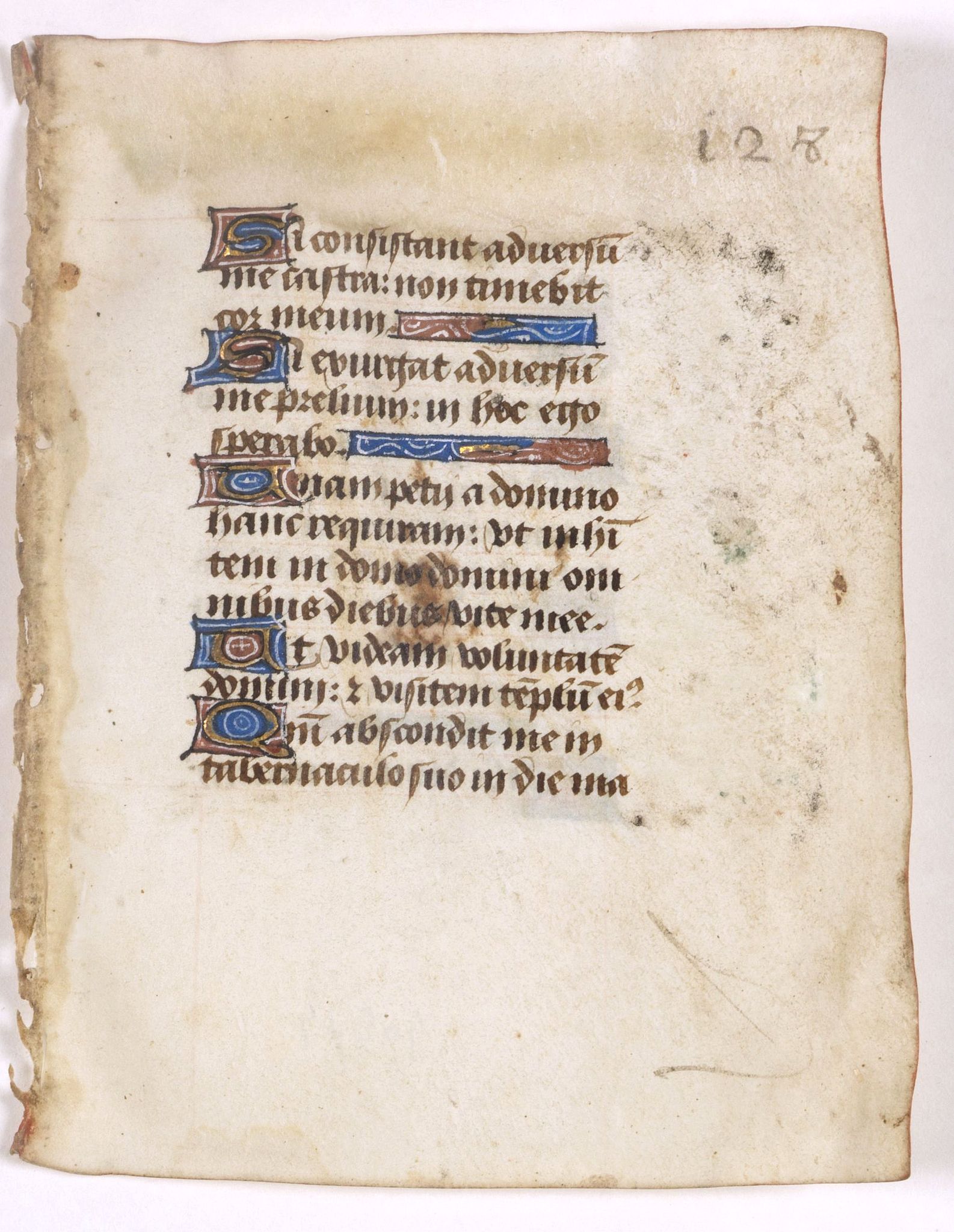 BOOK OF HOURS, Leaf on vellum from a manuscript Book of Hours., antique map, old maps