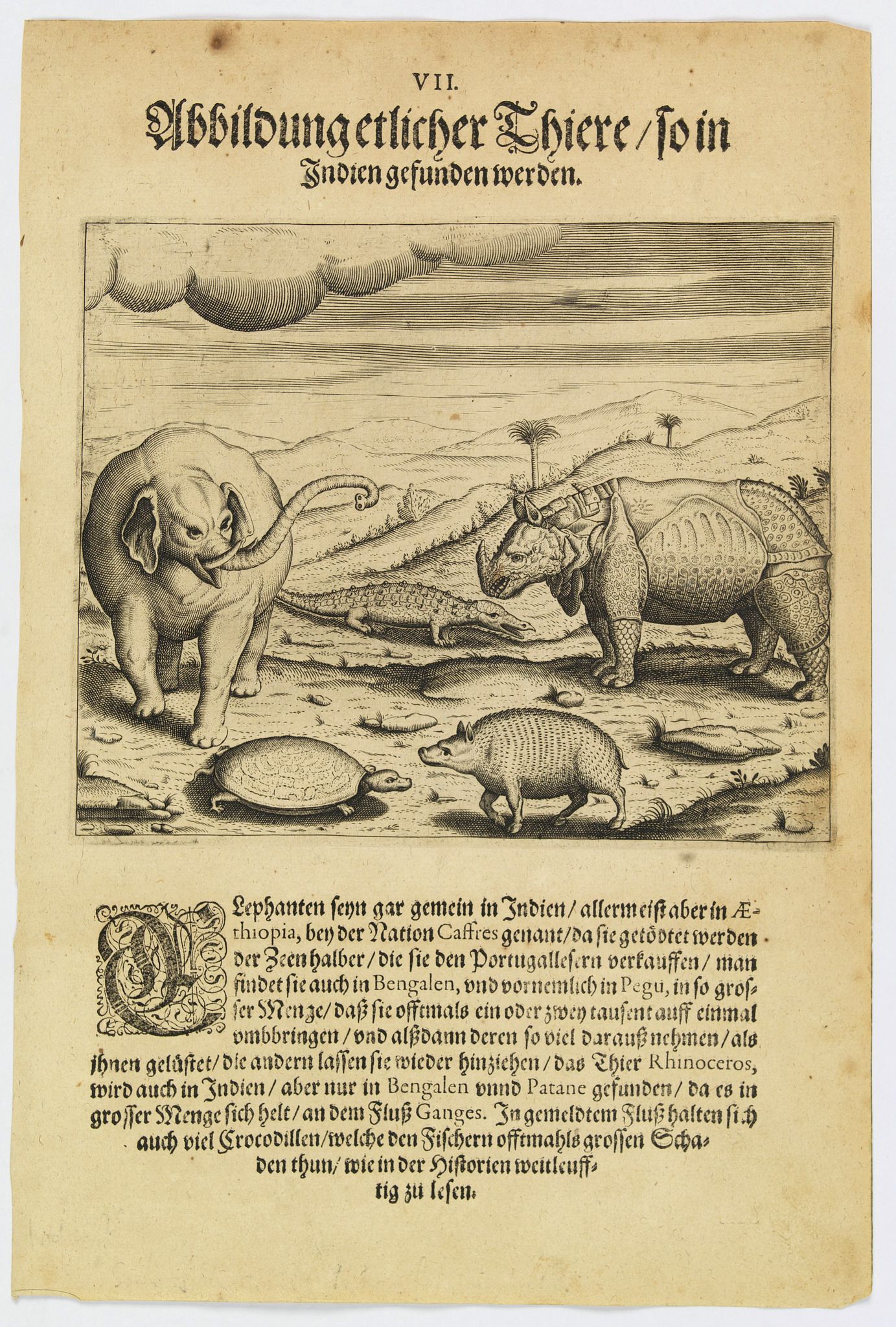 DE BRY, Th., Some of the animals that are found in India., antique map, old maps