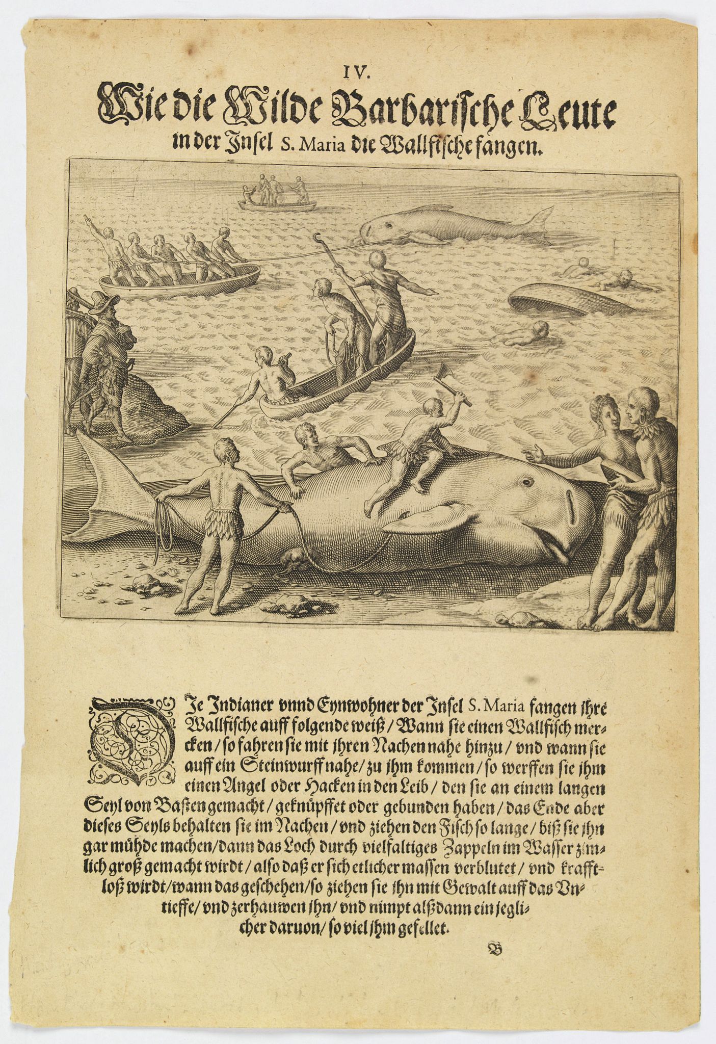 DE BRY, Th., How the inhabitants catch whales off the east coast of Madagascar., antique map, old maps