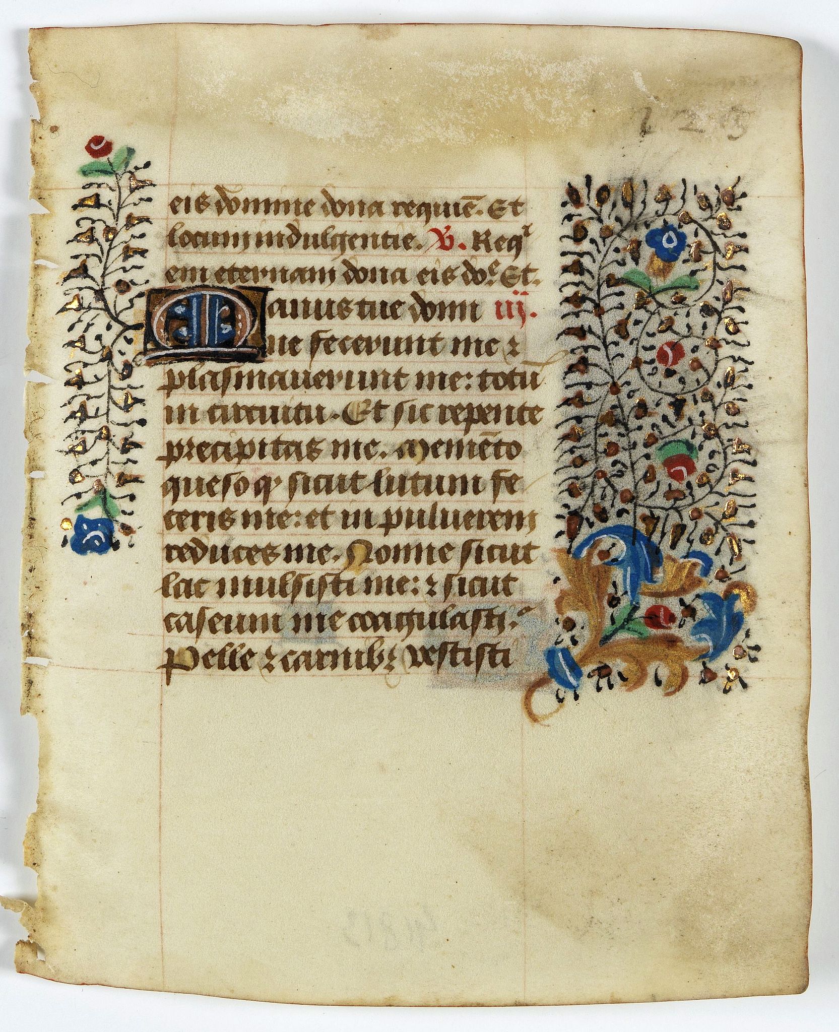 BOOK OF HOURS, Leaf on vellum from a manuscript Book of Hours., antique map, old maps
