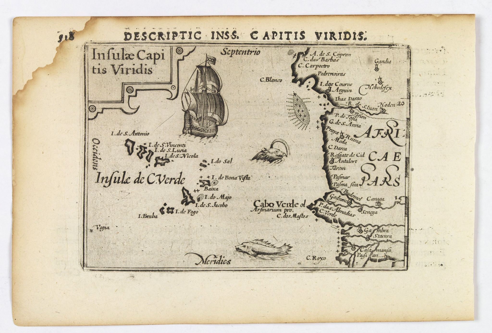 LANGENES, B. / BERTIUS, P., Insulae Capitis Viridis., antique map, old maps