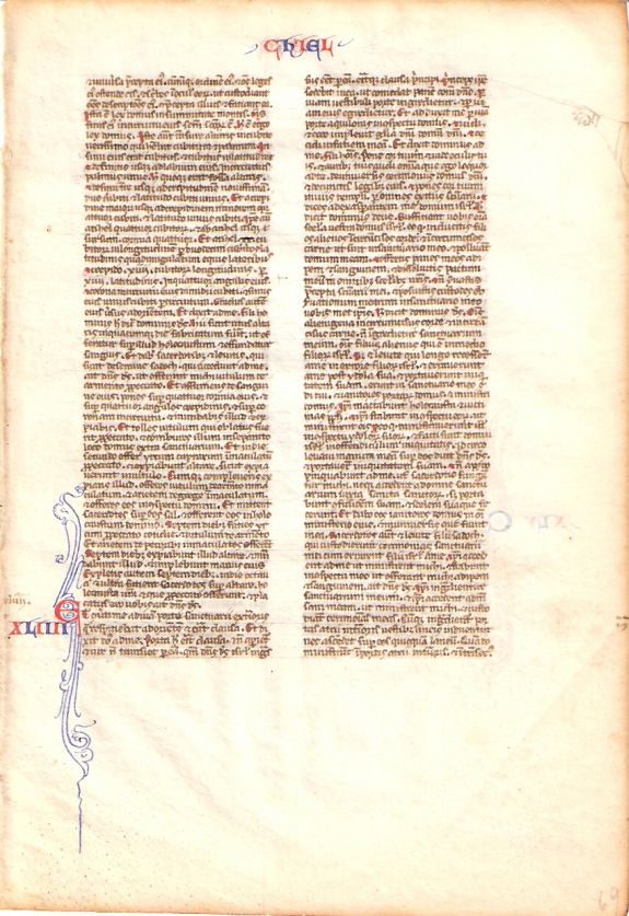 LEBER., Bible Leaf, antique map, old maps