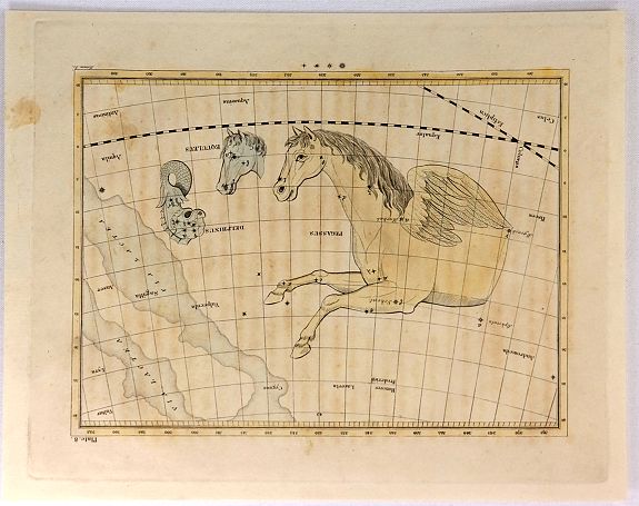 GREEN J., Delphinus, Equuleus and Pegasus., antique map, old maps