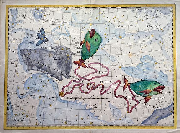 BODE, Johann., Pisces constellation, antique map, old maps