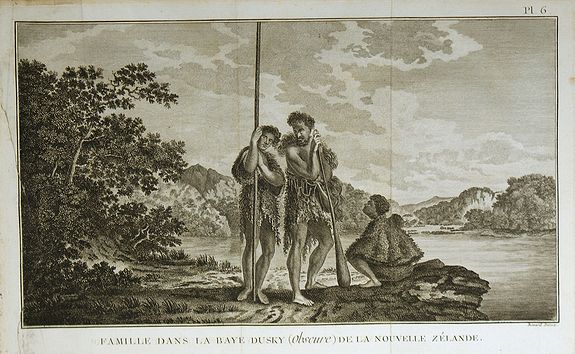 COOK, J., Famille de le Baye Dusky (Obscure) de la Nouvelle Zélande., antique map, old maps