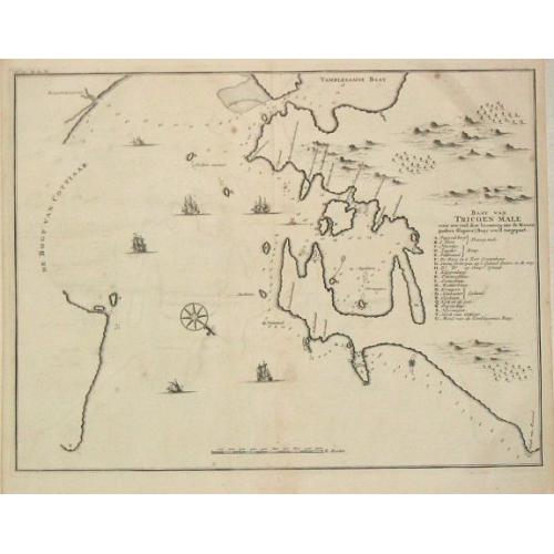 Old map image download for Baay van Tricoen Male.