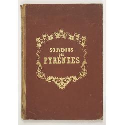 Souvenirs des Pyrénées. Vues prises aux environs des eaux thermales de Bagnères-de-Bigorre, Bagnères-de-Luchon, Cauteretz, Saint-Sauveur, Barèges, Les-eaux-Bonnes, Les-Eaux-Chaudes & Pau.