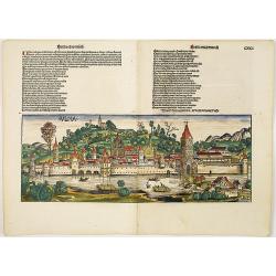 Ulma Folio CXCI [With view of Ulm.]