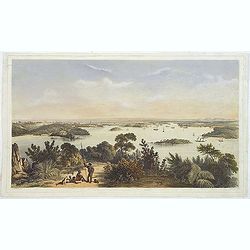 (The City And Harbour Of Sydney From Near Vaucluse.)