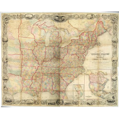 image lot 33608